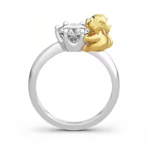 King of the Jungle-Lion