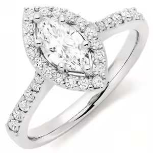 Marquise