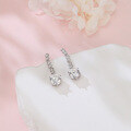 wholesale 925 Sterling Silver Elegant Moissanite Drop Earrings With Symmetrical Design And Graduated Stones-0-4