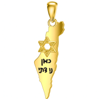 wholesale 925 Sterling Silver Israel Map Pendant Necklace With Star Of David And Hebrew Inscription Gold-Map Without Chain
