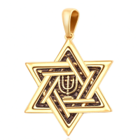 wholesale 925 Sterling Silver Men's Star Of David Pendant Necklace With Black Enamel And Trishul Detail-Candle (Gold) Without Chain