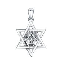 wholesale 925 Sterling Silver Panther Head Pendant Necklace-david of star Without Chain