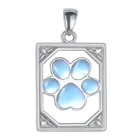 wholesale 925 Sterling Silver Paw Print Photo Locket Pendant Necklace for Women Girls - Memorial Keepsake s with Chain 48cm/60cm Length (Blue Moonstone)-Book-Paw Without Chain