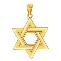wholesale 925 Sterling Silver Star of David Pendant for Men's Jewelry Necklaces Gold Tone Chain 3D Design Minimalist Style Gift Idea-Gold Without Chain
