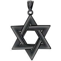 wholesale 925 Sterling Silver Star of David Pendant for Men's Jewelry Necklaces Gold Tone Chain 3D Design Minimalist Style Gift Idea-Black Without Chain