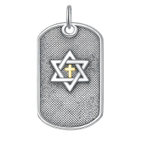 wholesale 925 Sterling Silver Mesh Dog Tag Pendant With Star Of David And Cross Necklace-C01-Dogtag Star of David Without Chain