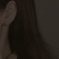 wholesale S925 Sterling Silver Wholesale Cross-Border Fashion Earrings, Necklaces, Rings, and Bracelets-Turnkey