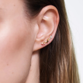 wholesale S925 Sterling Silver Ins-style Light Luxury Zircon-studded Back Earring Ear Climber-0-1