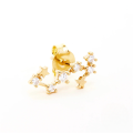 wholesale S925 Sterling Silver Irregular Zodiac Constellation Star Earrings With Zircons-0-12