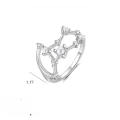 wholesale S925 Sterling Silver Zodiac Birthstone Ring For Women, New Fashion Minimalist Design-0-15