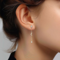 wholesale S925 Sterling Silver Star And Moon Fashion Earrings For Women, Elegant European-style Zircon-accented Versatile Luxury Trendy Earrings-0-2