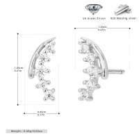 wholesale Metal S925 Sterling Silver, Cross-border New Style Exquisite And Fashionable Temperament Earrings, Ins Light Luxury Niche Design Sense Ear Jewelry-925 silver platinum plated 925 silver