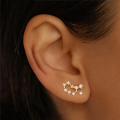 wholesale S925 Sterling Silver Irregular Zodiac Constellation Star Earrings With Zircons-0-3