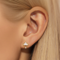 wholesale S925 Sterling Silver Fashionable Petal Zircon And Pearl Earrings, Korean Style Minimalist Studs-0-3