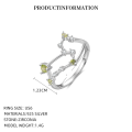 wholesale S925 Sterling Silver Zodiac Birthstone Ring For Women, New Fashion Minimalist Design-0-16