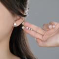 wholesale S925 Sterling Silver Fashion Princess Cut Zircon Stud Earrings For Women, Exquisite And Versatile Four-prong Square Sugar Earrings, Light Luxury High-end Feel-0-4