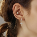 wholesale S925 Sterling Silver Simple Fashion Luxury Zircon Eight-pointed Star Snowflake Earrings-0-1