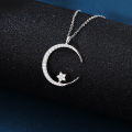 wholesale 925 Sterling Silver Elegant Silver Crescent Moon & Star Zircon Pendant Necklace-0-4