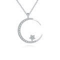 wholesale 925 Sterling Silver Elegant Silver Crescent Moon & Star Zircon Pendant Necklace-0-0