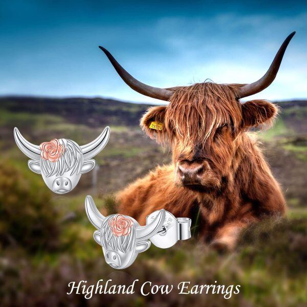 Sterling Silver Hignland Cow Earrings-5