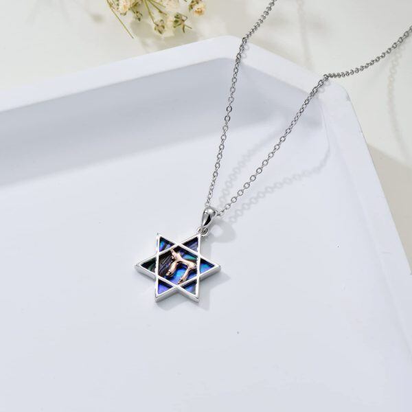 Sterling Silver Star Of David Necklace-3