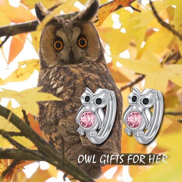 Sterling Silver Owl Earrings-5