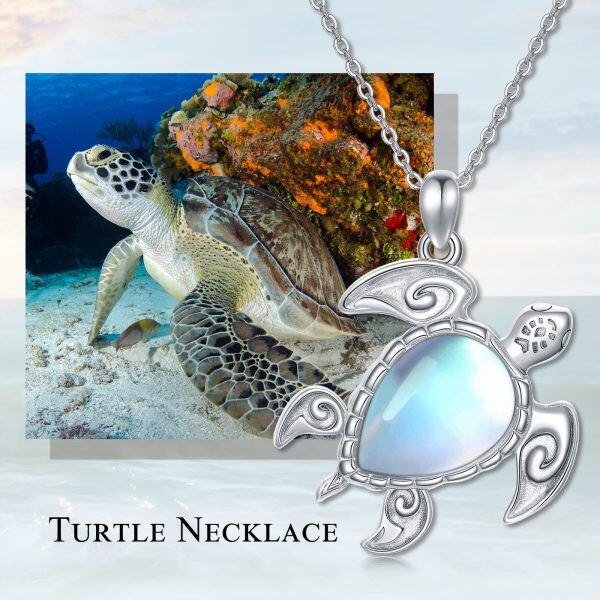 Sterling Silver Turtle Necklace-3