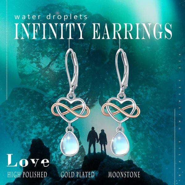 Sterling Silver Heart Infinity Earrings-4