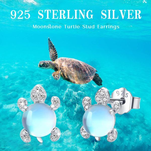 Sterling Silver Sea Turtle Stud Earrings-5