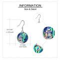 wholesale 925 Sterling Silver Abalone Shell Cat Moon Drop Earrings for Women-0-3