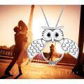 wholesale 925 Sterling Silver Owl Photo Locket Pendant Necklace for Women-0-6