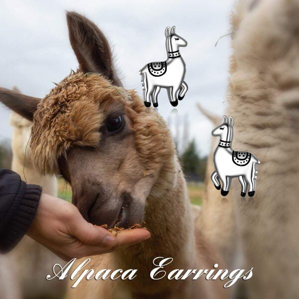 Sterling Silver Alpaca Earrings-4