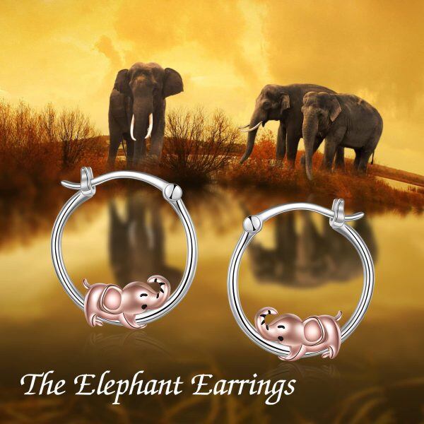 Sterling Silver Pig Earrings-5