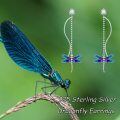 wholesale 925 Sterling Silver Blue Purple Dragonfly Drop Earrings Animal  for Her-0-4
