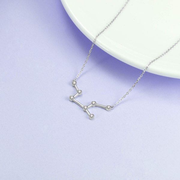 Sterling Silver Zodiac Necklace-1