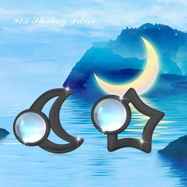 Sterling Sliver Moon Star Earrings-7