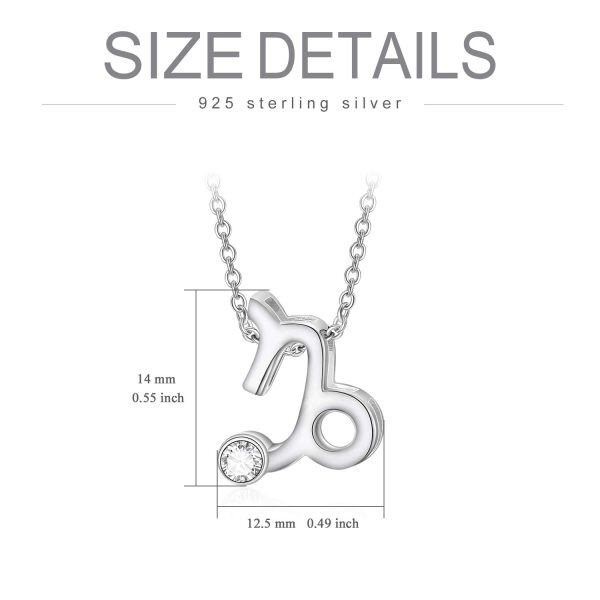 Sterling Silver 12 Constellation Pendant Necklace -3