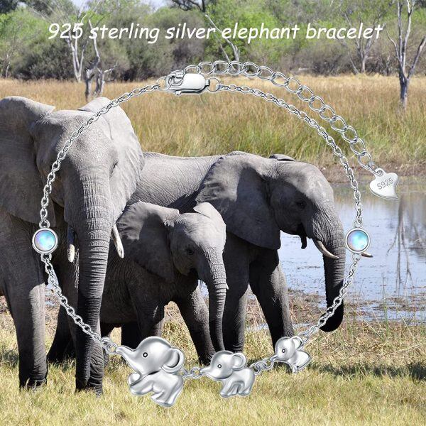 Sterling Silver Elephant Bracelets-4