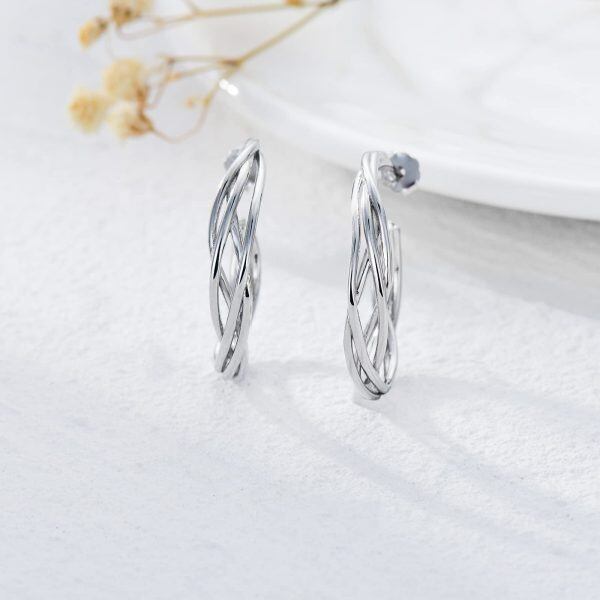 Sterling Sliver Hoop Earrings for Women-4