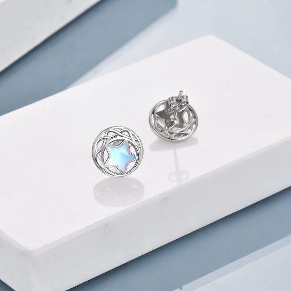 Sterling Silver Stud Earrings-2