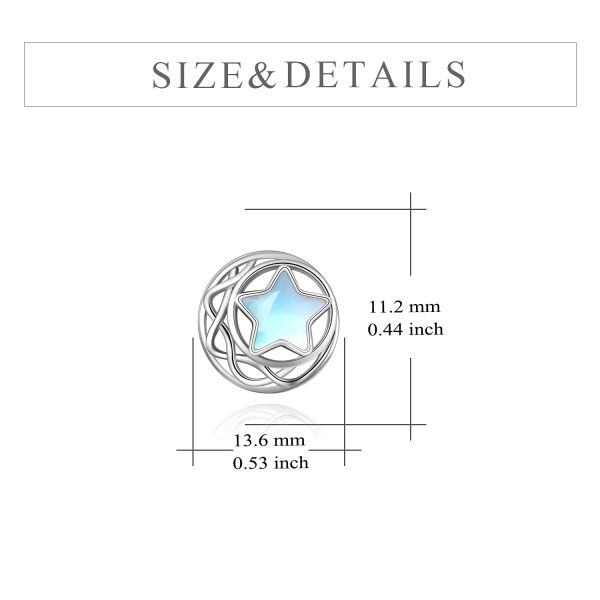 Sterling Silver Stud Earrings-3