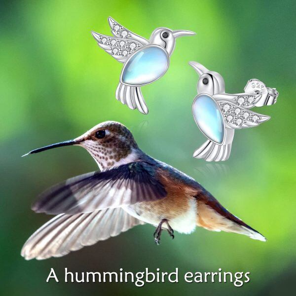 Sterling Silver Hummingbird Earrings-2