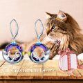 wholesale 925 Sterling Silver Rainbow Crystal Cat Dangle Earrings for Cat Lovers-0-3