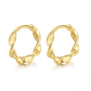 Sterling Silver Twisted Hoop Earrings-0