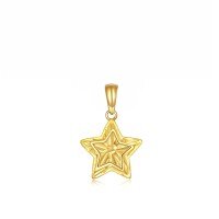 wholesale 14K Gold  Hollow Out Five-Pointed Star Pendant Necklace s for Women Valentines Mothers Day- Gold Plated