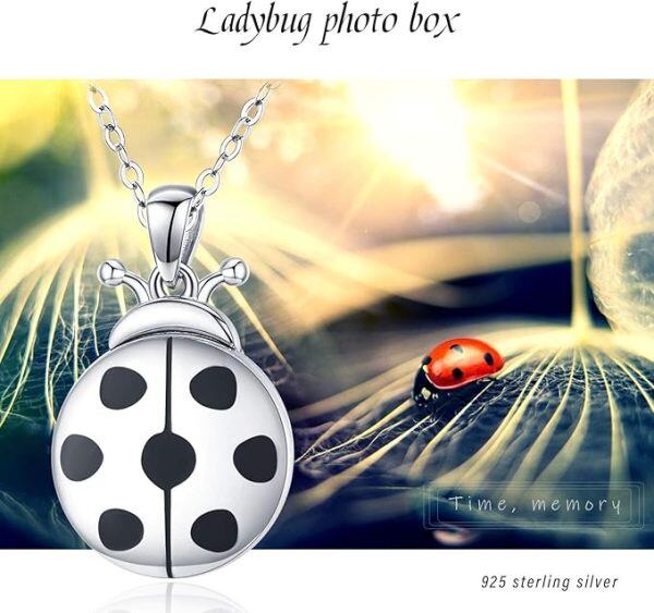 Sterling Silver Ladybug Locket Necklace-5