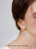 wholesale 14K Gold Round Cut Moissanite 2CT Leverback Dangle Drop Earrings for Women-0-5