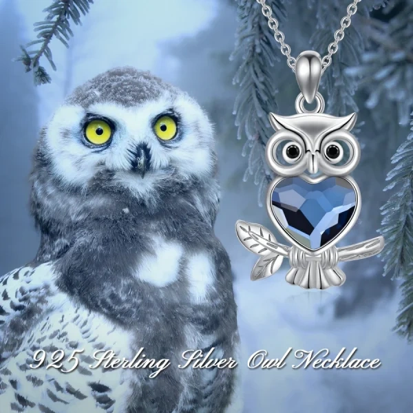 Sterling Silver Wisdom Owl Pendant Necklace With Heart Crystal-2