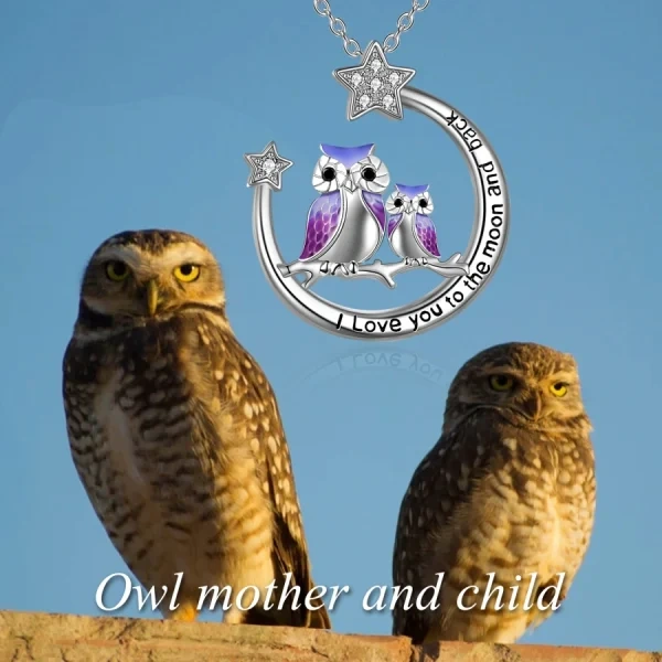 Sterling Silver Enamel Owl Moon Pendant Necklace-2