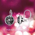 wholesale Sterling Silver Austrian Crystal Bella Leverback Earrings Hypoallergenic Fine Jewelry Gifts-0-7